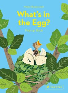WHATS IN THE EGG (POP UP BOOK) (HB)
