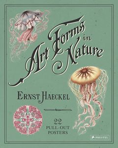 ART FORMS IN NATURE ERNST HAECKEL: 20 PULL OUT POSTERS