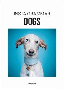 INSTA GRAMMAR: DOGS