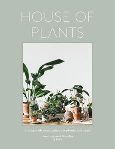 HOUSE OF PLANTS (SUCCULENTS AIR PLANTS AND CACTI)