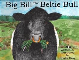BIG BILL THE BELTIE BULL
