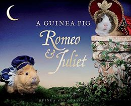 GUINEA PIG ROMEO AND JULIET