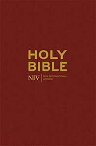 HOLY BIBLE (NIV POPULAR BURGUNDY) (HB)