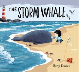 STORM WHALE (BOARD)