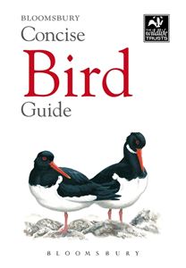 BLOOMSBURY CONCISE BIRD GUIDE