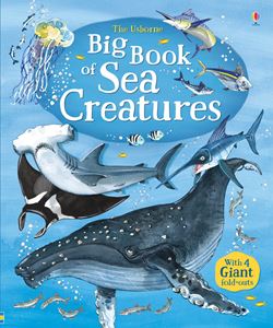 BIG BOOK OF SEA CREATURES (HB)