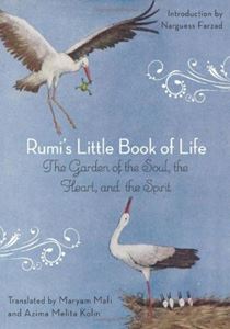 RUMIS LITTLE BOOK OF LIFE