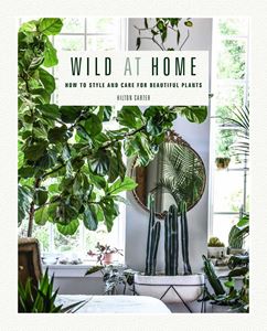 WILD AT HOME: HOW TO STYLE AND CARE/ BEAUTIFUL PLANTS