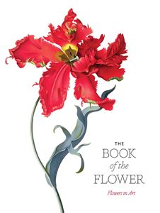 BOOK OF THE FLOWER: FLOWERS IN ART (PB)
