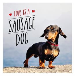 LOVE IS A SAUSAGE DOG