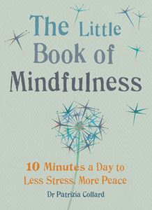 LITTLE BOOK OF MINDFULNESS (GAIA)