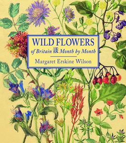 WILD FLOWERS OF BRITAIN MONTH BY MONTH