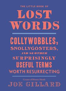LITTLE BOOK OF LOST WORDS (TEN SPEED PRESS)