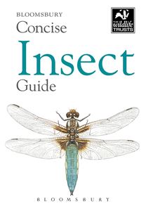 BLOOMSBURY CONCISE INSECT GUIDE