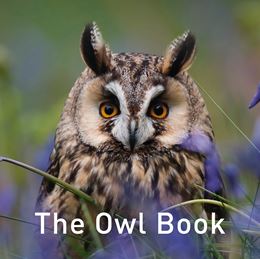 OWL BOOK (GRAFFEG)
