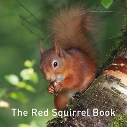 RED SQUIRREL BOOK (GRAFFEG)