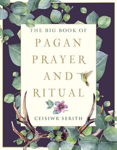 BIG BOOK OF PAGAN PRAYER AND RITUAL (RED WHEEL)