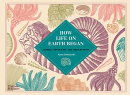 HOW LIFE ON EARTH BEGAN (HB)