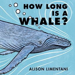 HOW LONG IS A WHALE