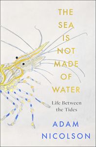 SEA IS NOT MADE OF WATER: LIFE BETWEEN THE TIDES (HB)