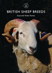 BRITISH SHEEP BREEDS (SHIRE)