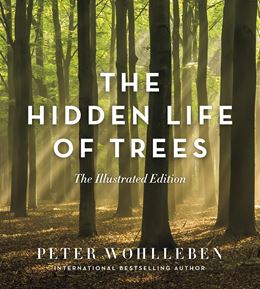 HIDDEN LIFE OF TREES: ILLUSTRATED EDITION (GREYSTONE) (HB)