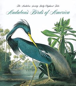 AUDUBONS BIRDS OF AMERICA (TINY FOLIO ABBEVILLE)