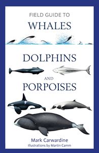 FIELD GUIDE TO WHALES DOLPHINS AND PORPOISES