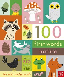 100 FIRST WORDS: NATURE (LIFT THE FLAP) (BOARD)