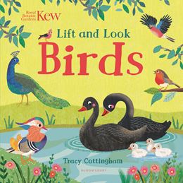 LIFT AND LOOK: BIRDS (KEW) (BOARD)