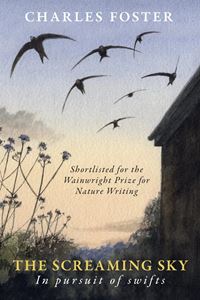 SCREAMING SKY: IN PURSUIT OF SWIFTS