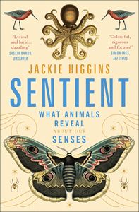 SENTIENT: WHAT ANIMALS REVEAL ABOUT OUR SENSES (PB)