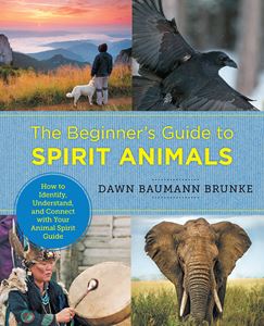 BEGINNERS GUIDE TO SPIRIT ANIMALS (PB)