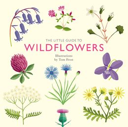 LITTLE GUIDE TO WILDFLOWERS (HB)