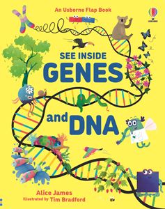 SEE INSIDE GENES AND DNA (LIFT THE FLAP) (BOARD)