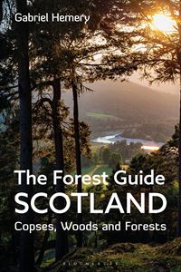 FOREST GUIDE SCOTLAND: COPSES WOODS AND FORESTS (PB)