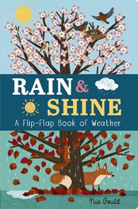 RAIN AND SHINE: A FLIP FLAP BOOK OF WEATHER (BOARD)