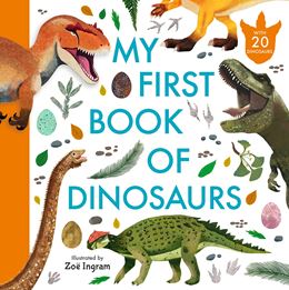 MY FIRST BOOK OF DINOSAURS (HB)