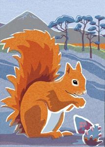 NATURE NOTEBOOK: RED SQUIRREL