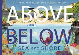 ABOVE AND BELOW: SEA AND SHORE (LIFT THE FLAP) (PB)