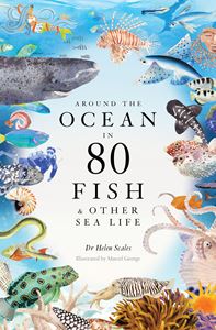 AROUND THE OCEAN IN 80 FISH AND OTHER SEA LIFE (HB)