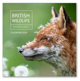 BRITISH WILDLIFE PHOTOGRAPHY AWARDS CALENDAR 2024