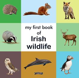 MY FIRST BOOK OF IRISH WILDLIFE (BOARD)