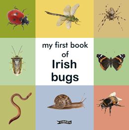 MY FIRST BOOK OF IRISH BUGS (BOARD)