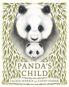 PANDAS CHILD (HB)