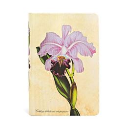 PAPERBLANKS BRAZILIAN ORCHID: LINED MINI JOURNAL (HB)
