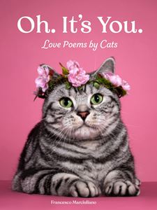 OH ITS YOU: LOVE POEMS BY CATS (HB)