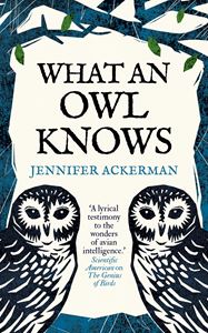 WHAT AN OWL KNOWS (HB)