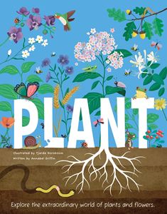 PLANT (BEETLE BOOKS) (HB)
