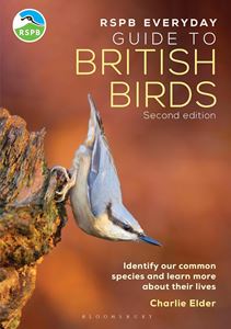 RSPB EVERYDAY GUIDE TO BRITISH BIRDS (PB)
